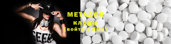 прущие грибы Абаза