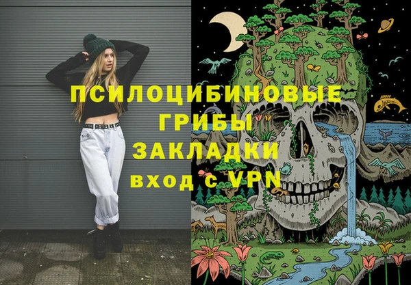 прущие грибы Абаза