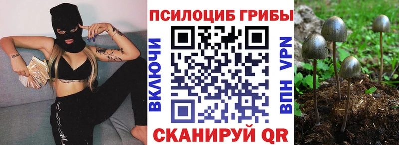 Галлюциногенные грибы MAGIC MUSHROOMS  Хилок 